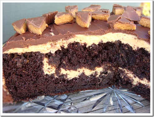 Chocolate and Penut Butter Mousse 029-1