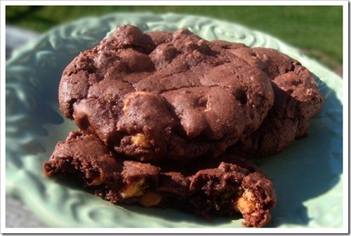 Buttermilk Cookies2_thumb