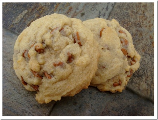Butterscotch Cinnamon Chip Cookies2