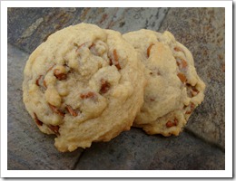 Butterscotch Cinnamon Chip Cookies2