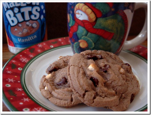 Hot Cocoa Cookies2