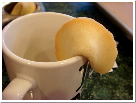Fortune Cookies 3