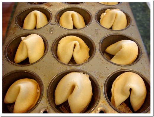 Fortune Cookies 4