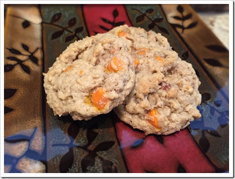 Oatmeal Pumpkin Chip Cookies 3