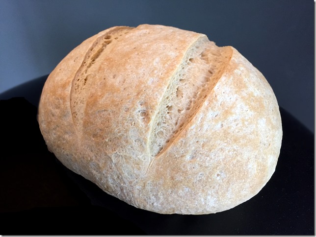 Sourdough 2