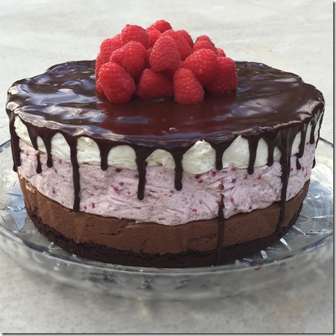 Chocolate Raspberry Mousse Cake