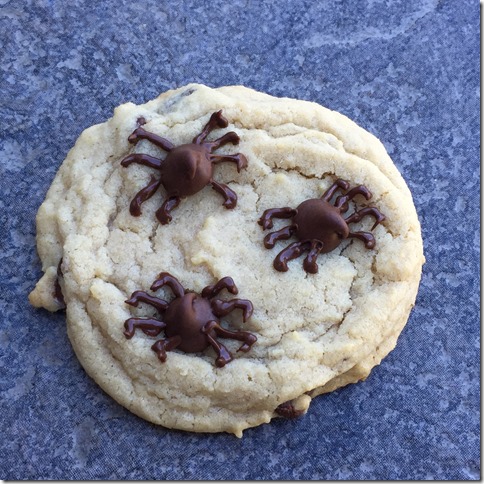 Spider Cookies 3