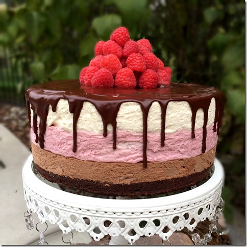 Chocolate Raspberry Vanilla Mousse Cake 4
