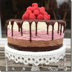 Chocolate Raspberry Vanilla Mousse Cake 5