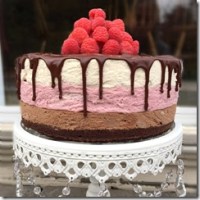 Chocolate Raspberry Vanilla Mousse Cake 5