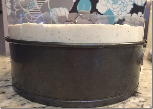 Chocolate Raspberry Vanilla Mousse Cake Cake Collar 1