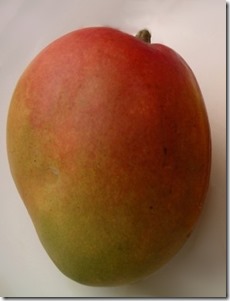 Haden Mango