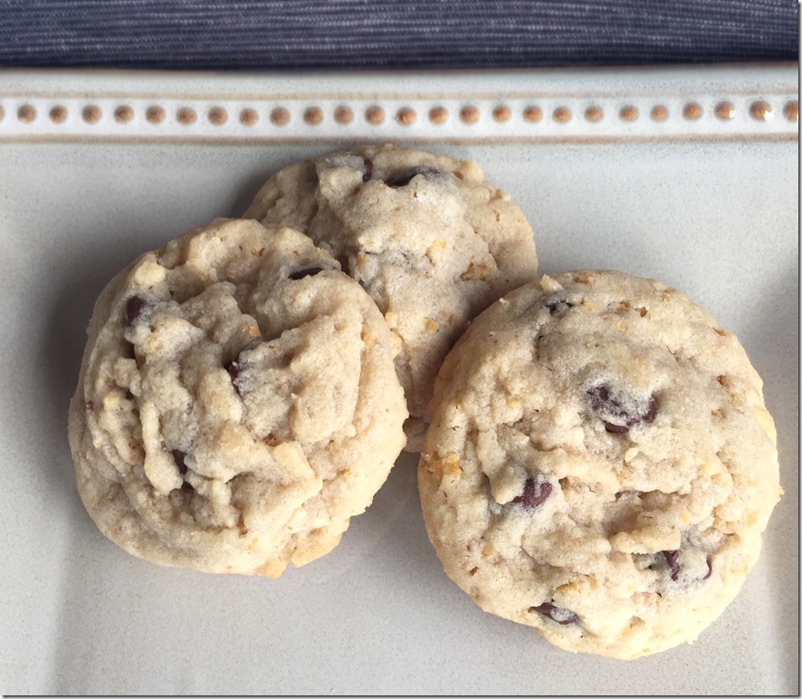 Loaded Chocolate Chip Sandies 2