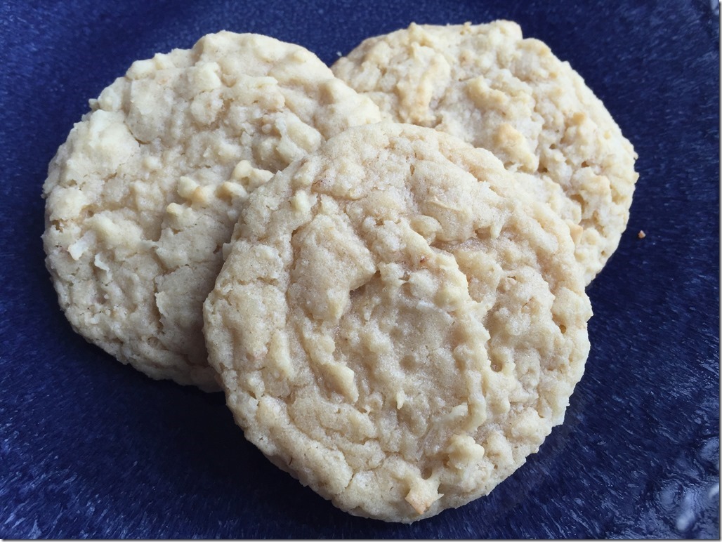Oatmeal Coconut Cookies 1_thumb[3]