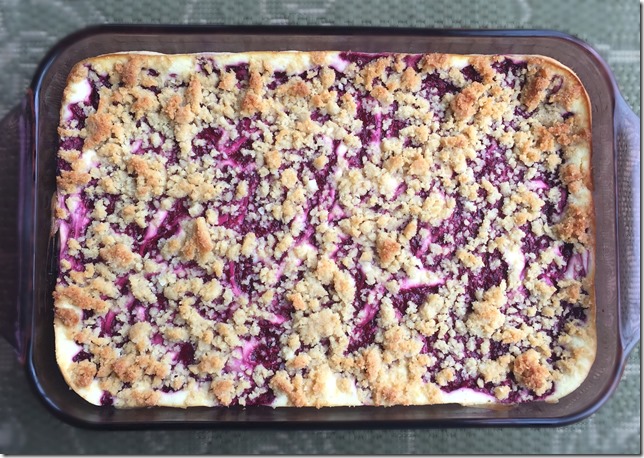 Sugar Free Raspberry Cheesecake Streusel Bars
