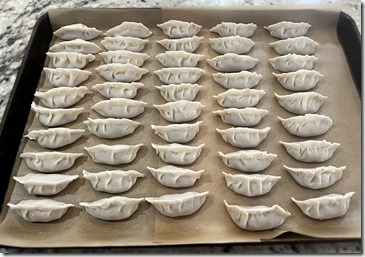 Japanese Gyoza 2