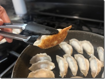 Japanese Gyoza 3